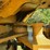 deere-540e-image-37