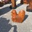 #62-•-teakwood-chicken-decor-image-3