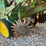 john-deere-7200-image-33