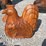#62-•-teakwood-chicken-decor-image-2