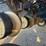 kinze-3800-image-16