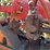 massey-harris-444-image-28