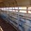 20'x6'-gooseneck-stock-trailer,-covered-image-9