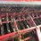 case-ih-5100-image-14