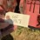 16-row-rowcrop-cultivator-image-9