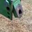 blanchard-7-bottom-mo-board-plow-image-2