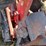 massey-ferguson-1330-image-8