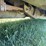 gmc-2500-image-13