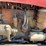 massey-harris-444-image-39