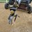 agland-macerator-6600-image-9