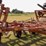 25'-krause-sweep-plow-5-'-blades,-no-welds-image-4