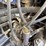 2022-xcmg-xc958u-image-28