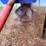 landoll-pto-ditcher-image-8