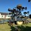blu-jet-anhydrous-applicator-image-3