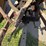 massey-harris-444-image-17