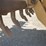 2012-deere-672gp-image-35