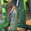 john-deere-960-image-14