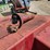 new-holland-320-image-15