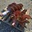 quantity-of-assorted-auger-bits-image-1
