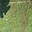 12ft-gate-image-1