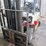 2000-nissan-35-optimum-3,500lb.-lp-forklift-image-4