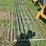 3--16ft-gates-image-4