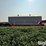 2000-dynaweld-lowboy-image-4