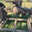 1931-farmall-f-30-duck-bill-image-27