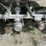 2010-brenner-aluminum-407-t/a-chemical-tanker-trailer-image-15