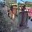 #965-•-cattle-squeeze-chute-image-8