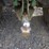 john-deere-790-image-22