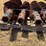 5--dirt-auger-bits-image-4