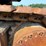 hitachi-ex1800-3-image-23