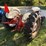 ford-tractor-image-7
