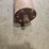 27'-roller-screed-image-4