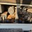 ingersoll-rand-g25-image-5