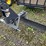 bobcat--72"-angle-plow-with-boce-image-1