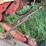 farmall-340-row-crop-image-17