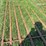 10ft-gate-image-3