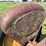 massey-ferguson-101-image-40