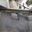 bobcat-331-image-30