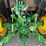 john-deere-5100e-image-16