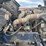 2015-kenworth-t370-image-15