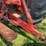 farmall-1566-turbo-image-35