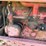 farmall-m-image-43