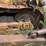caterpillar-d9h-image-10