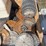 case-disc-openers-off-of-2150-planter,-seed-disks,-&-3-insecticide-boxes-image-2