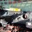 takeuchi-tl10v2-image-30