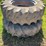 international-16-image-3