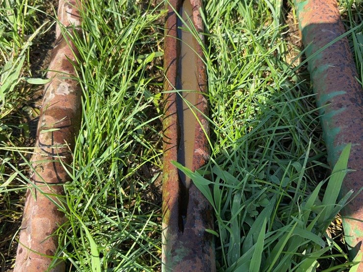 10ft-gate-image-2